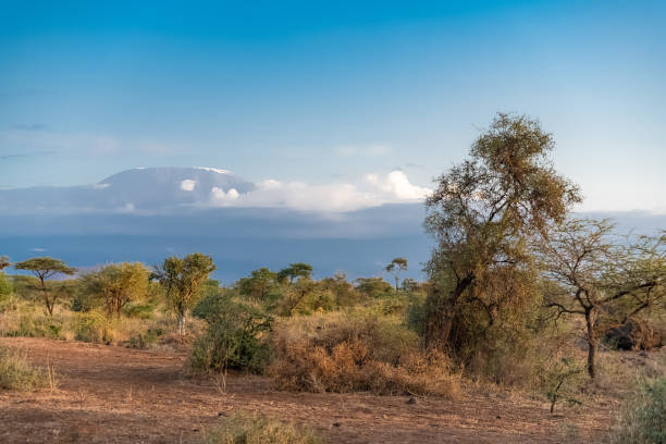 istock View of the Kilimandjaro mountain 1165667240