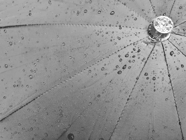 Fresh Water drops on a black umbrella, closeup image texture, background