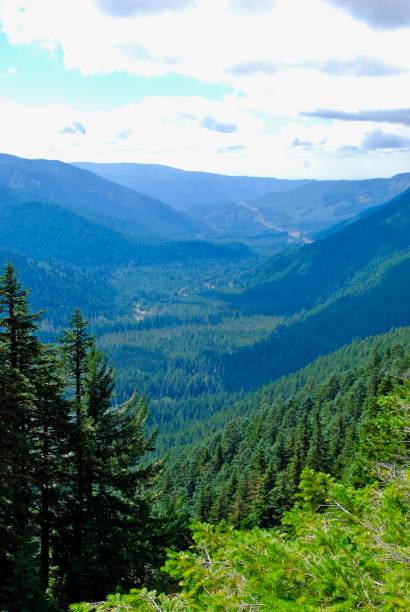 istock Valley in Mt. Hood Wilderness 1165678466