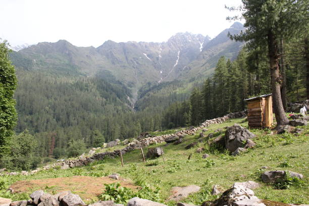 istock Green Valley with Full of Greenery 1165680987