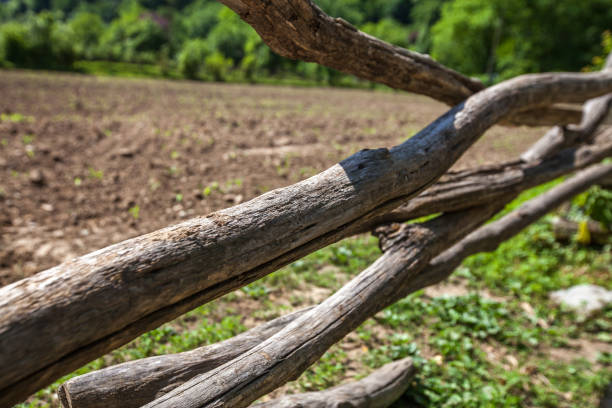 Old rustic wooden village fence. Natural country background
