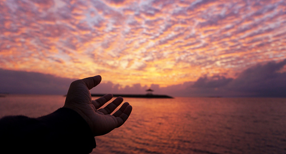 Hope concept. Never give up & fragility conceptual.  An open hand reaching up the light,  with beautiful morning light and beach landscape background.  Stunning sunrise sky.