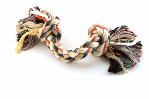 Chewable dog toy rope isolated on white. Room for Copy.