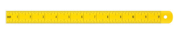 ilustrações de stock, clip art, desenhos animados e ícones de engineer or architect plastic drafting ruler with an imperial units scale. - sewing foot