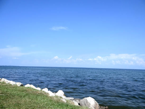 Lake St. Clair View stock photo