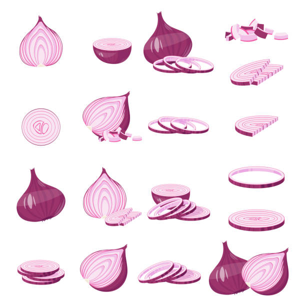 ilustraciones, imágenes clip art, dibujos animados e iconos de stock de ilustración de dibujos animados de cebolla roja aislado en vector blanco - onion