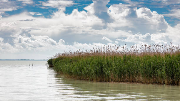 istock Overcast landscape over lake Balaton of Hungary 1165687367