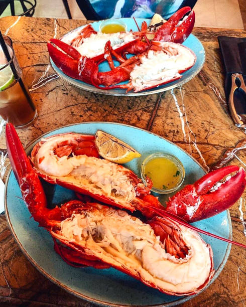 istock grilled lobster grilled lobster on the dish 1165688505
