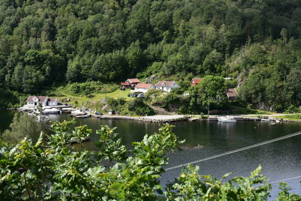 istock landscapes on the Norwegian fjords 1165693728