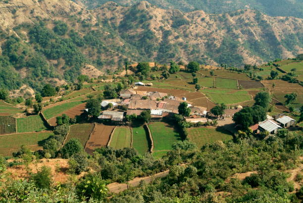 istock Maharashtrian countryside, India 1165694384