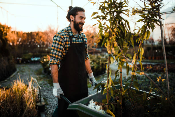 istock Young man in greenhouse 1165694831