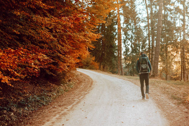 istock Hiking on an autumn's day in the forest 1165695098
