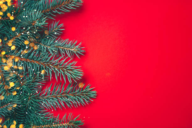 istock Fir branches with blurred lights garland on a red background. 1165695344