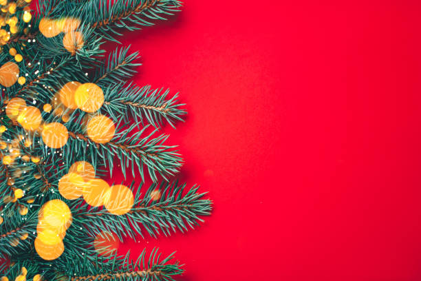 istock Fir branches with blurred lights garland on a red background. 1165695346
