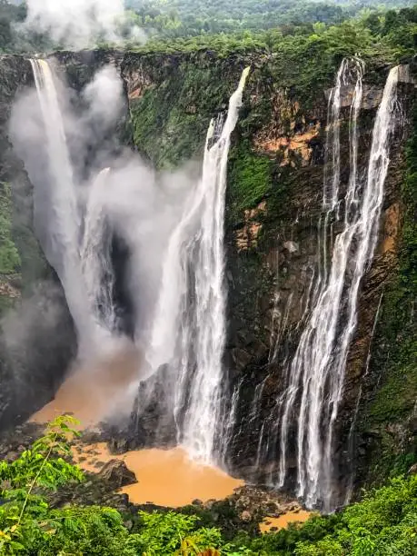 Photo of Jog Falls waterfall in shivamogga during monsoon