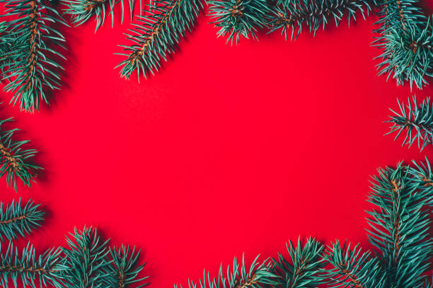 istock Fir branches on red background. Christmas wallpaper. 1165695456