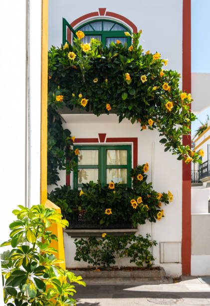 istock Port of Mogan, Gran Canaria 1165697731