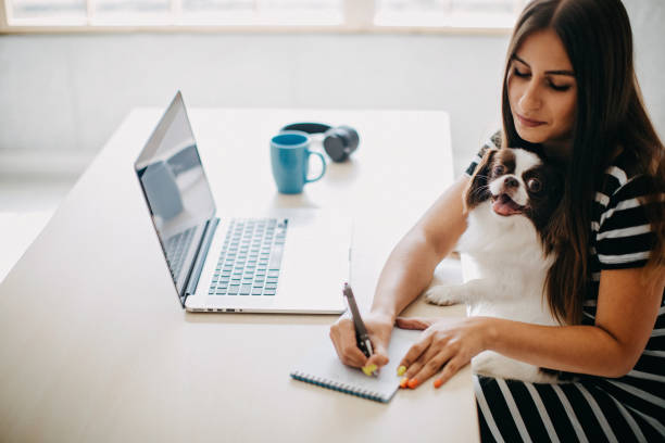 istock Woman working from home 1165699057