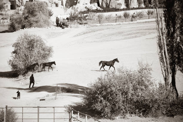 istock Horse farm 1165699333