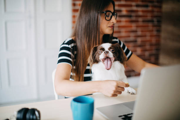 istock Woman working from home 1165699393