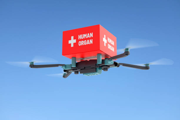 istock Drone with Human Organ Transplantation 1165699448