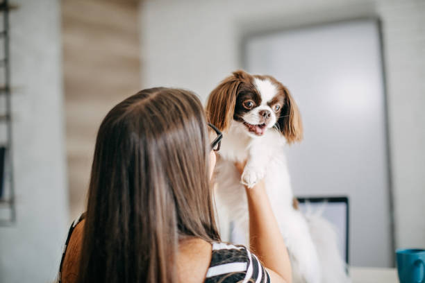 istock Woman working from home 1165699559