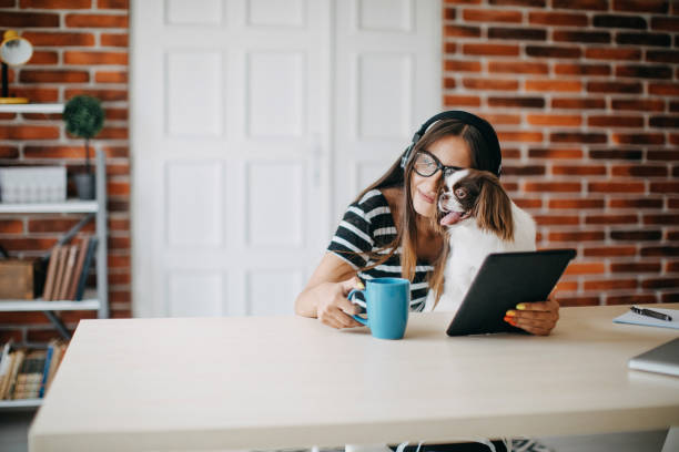 Woman working from home Woman working from home 2590 stock pictures, royalty-free photos & images