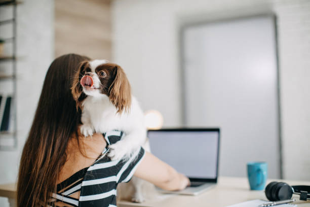 istock Woman working from home 1165699908