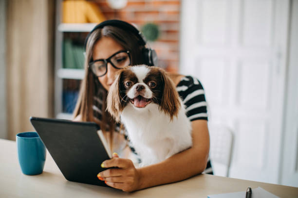 istock Woman working from home 1165699991