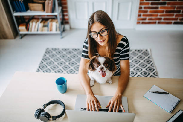 Woman working from home Woman working from home lap dog photos stock pictures, royalty-free photos & images