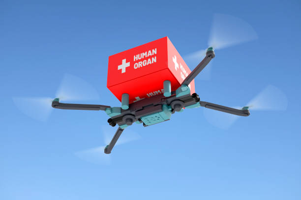 istock Drone with Human Organ Transplantation 1165700638