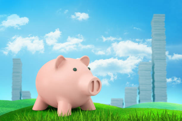 rendu 3d d'une boule rose de cochon restant sur l'herbe verte avec des piles ressemblant aux barres de statistique à l'arrière-plan. - piggy bank currency savings finance photos et images de collection