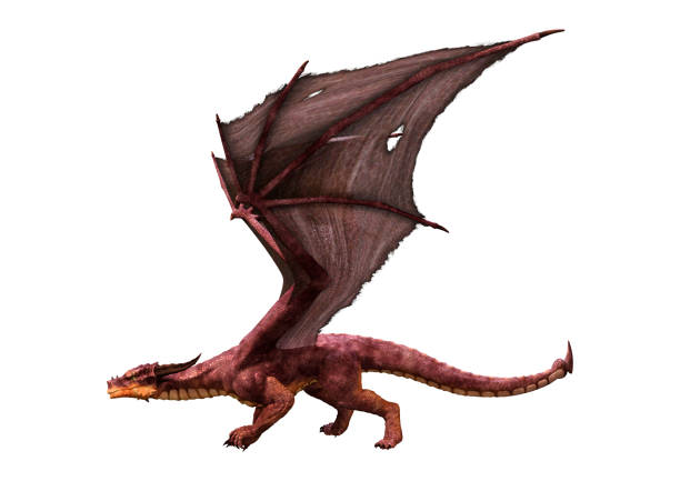 istock 3D illustration fantasy dragon on white 1165701251