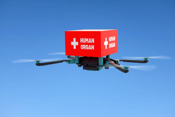 istock Drone with Human Organ Transplantation 1165701363