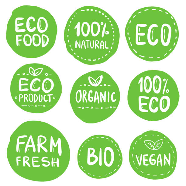 ilustrações, clipart, desenhos animados e ícones de etiquetas verdes do alimento de eco. títulos de saúde. coleção da ilustração do vetor - 100 organic