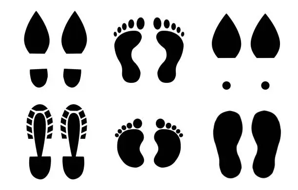 Vector illustration of shoe sole traces