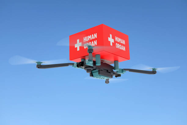 istock Drone with Human Organ Transplantation 1165702513