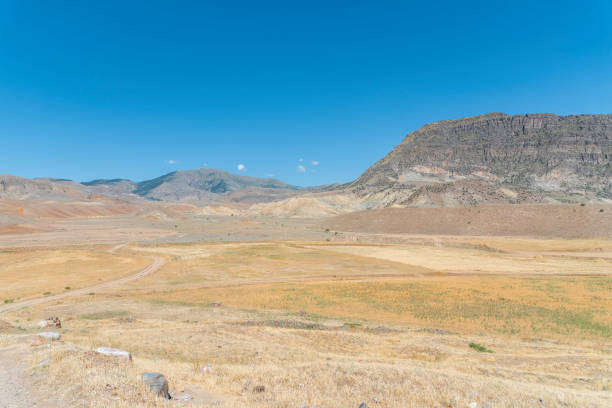 istock Panoramic view on the yellow field with  dry grass and rock and mountains. 1165702598