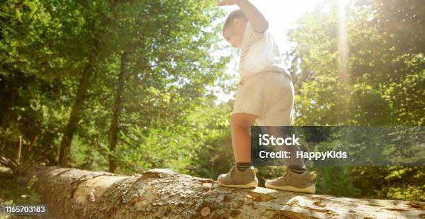 Tree Walkboy Boy Walking On Fallen Tree Stock Photo - Download Image Now - 2-3 Years ...