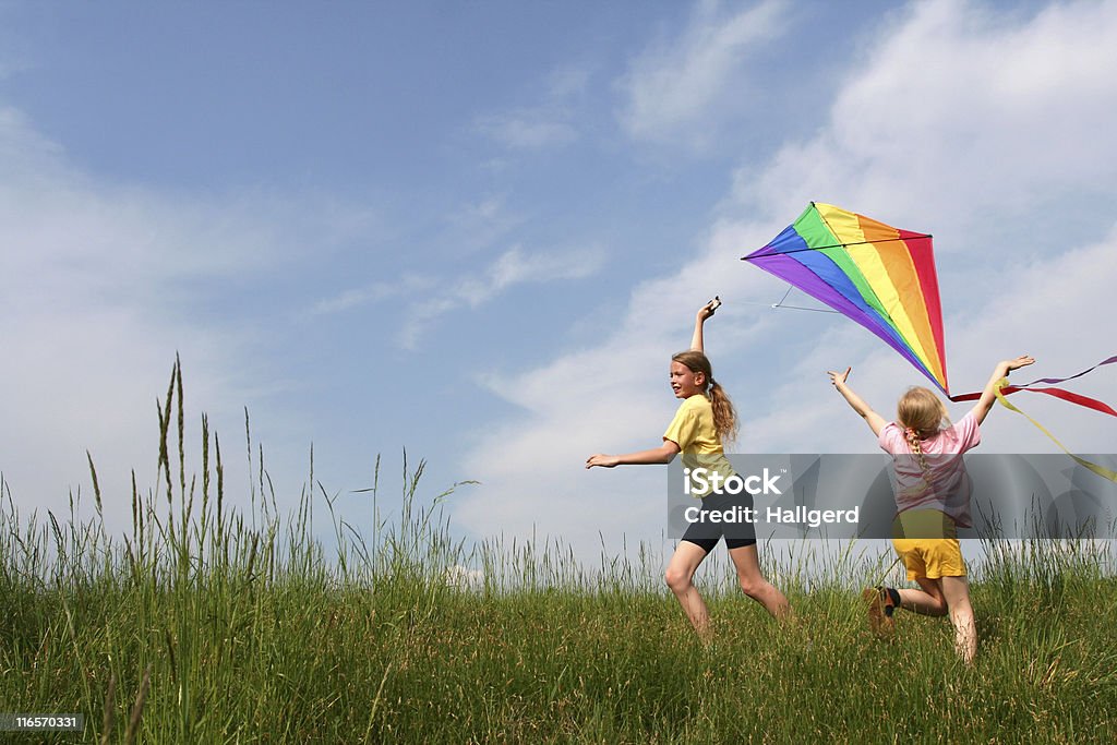 Flying kite Children flying rainbow kite in the meadow on a blue sky background Kite - Toy Stock Photo