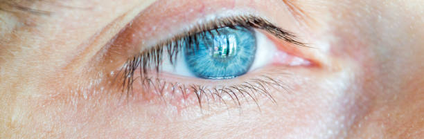 istock Close-up shot of man's  blue eyes. 1165703313