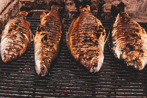Sea bass on a barbeque