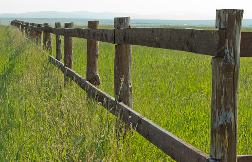 Wooden fence on nice green meadow