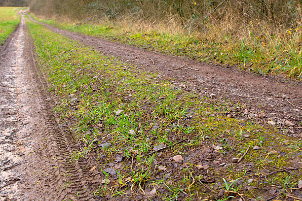 Road Rutting Tracks 660+ Wheel Tracks On The Muddy Dirt Road After The Rain Stock Photos ...