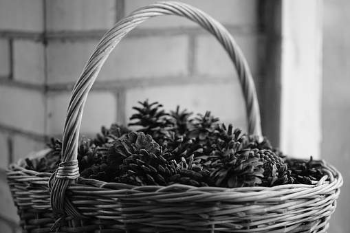 wicker basket with pine cones, black and white photo