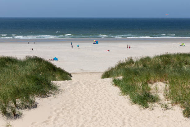istock Sand path leading to beach Dutch coast of North Sea 1165710683