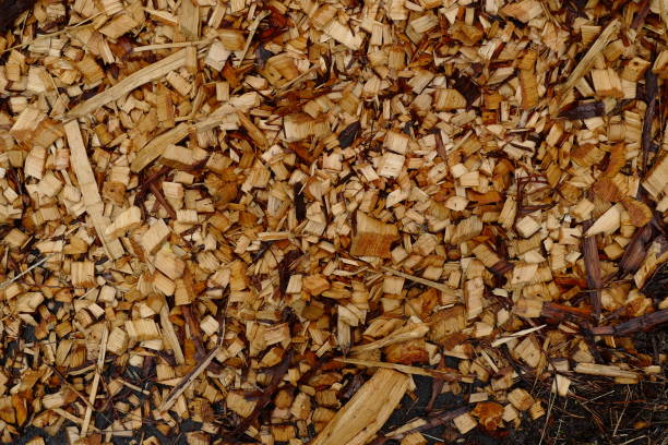 istock Background: a bunch of wooden fresh sawdust. 1165711545