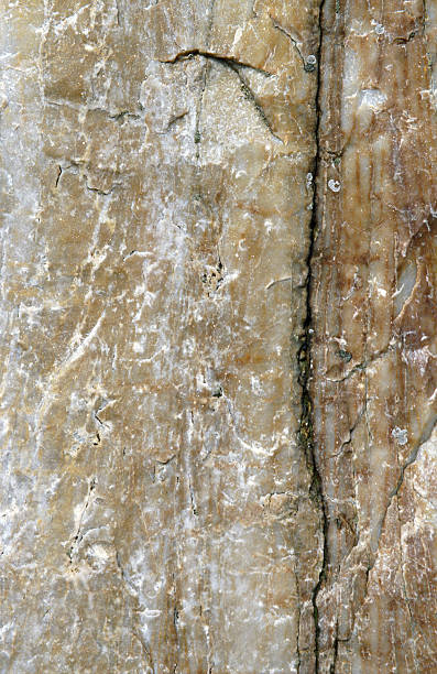monolith closeup closeup view of the biggest monolith of the mystic stone circle "Ales Stenar" in South Sweden ales stenar stock pictures, royalty-free photos & images