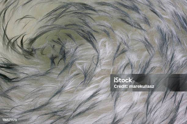 Pelliccia Di Agnello Sfondo Con Un Vortice Modello - Fotografie stock e altre immagini di Bianco - Bianco, Calore - Concetto, Colore nero