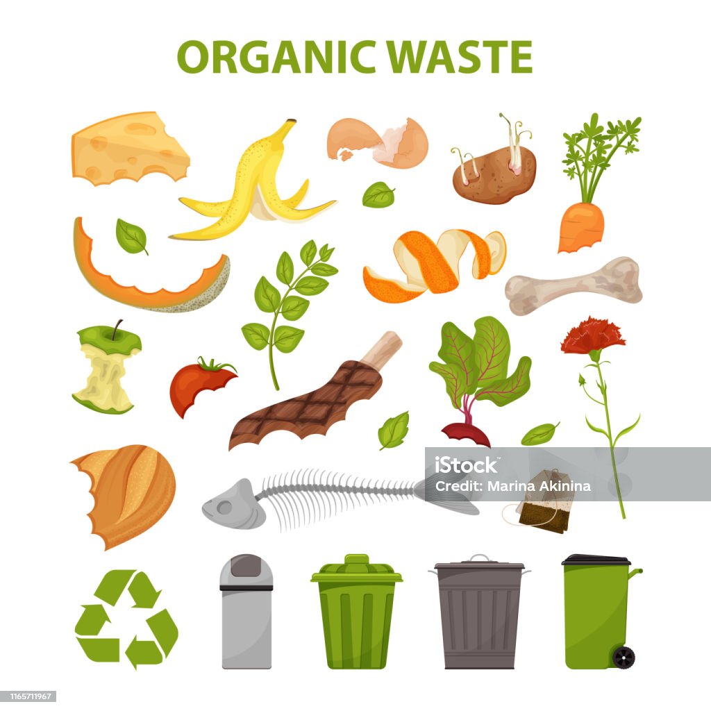 Ilustración de Residuos Orgánicos y más Vectores Libres de Derechos de  Basura - Basura, Alimento, Orgánico - iStock